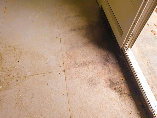 Comment faire baisser le taux d'humidité dans la maison ?