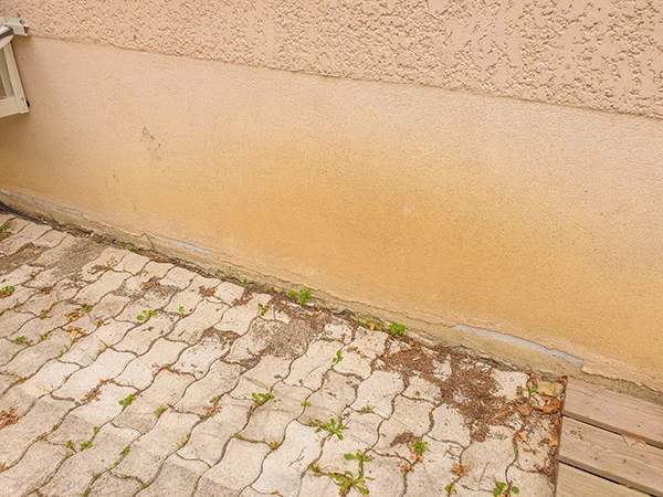 Comment faire quand un mur est humide ?