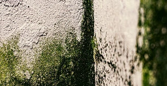 Quels sont les symptômes d'une maison humide ?