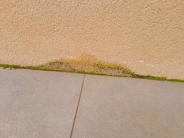 Est-ce que l'humidité est un vice caché ?